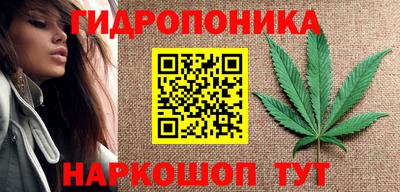 гашик Новодвинск