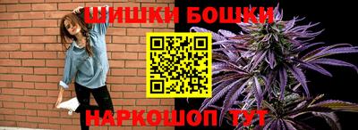 гашик Новодвинск