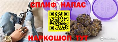 гашик Новодвинск