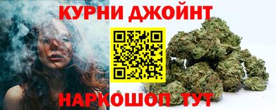гашик Новодвинск