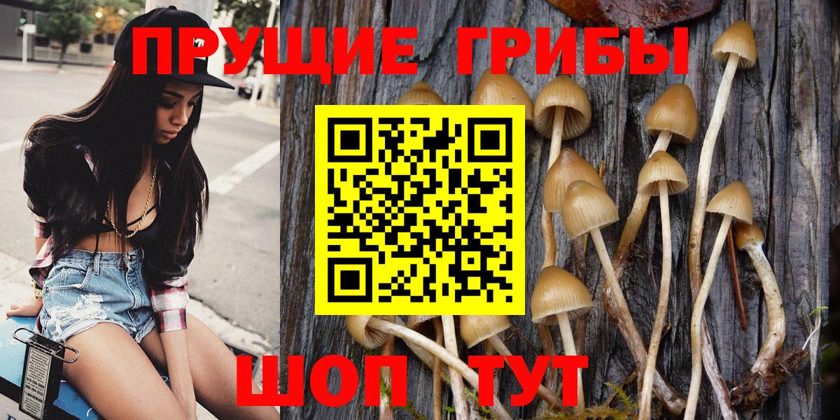 Псилоцибиновые грибы Psilocybe Россошь