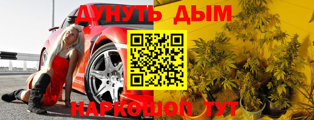 Канабис Amnesia  Вход с VPN  Россошь  Марихуана OG Kush 